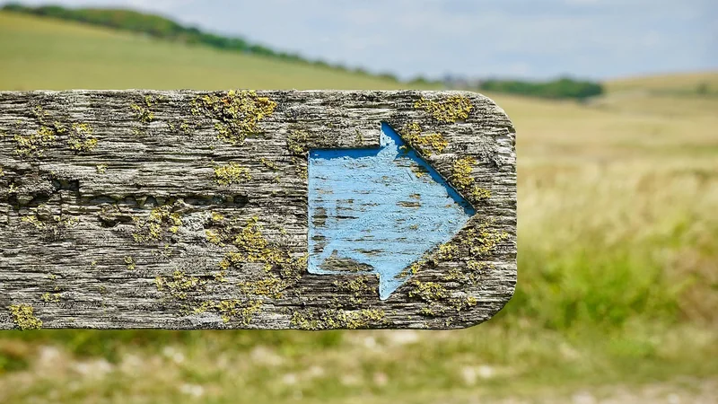 Les 5 erreurs que j'ai commises (et qui vous coûteront cher)