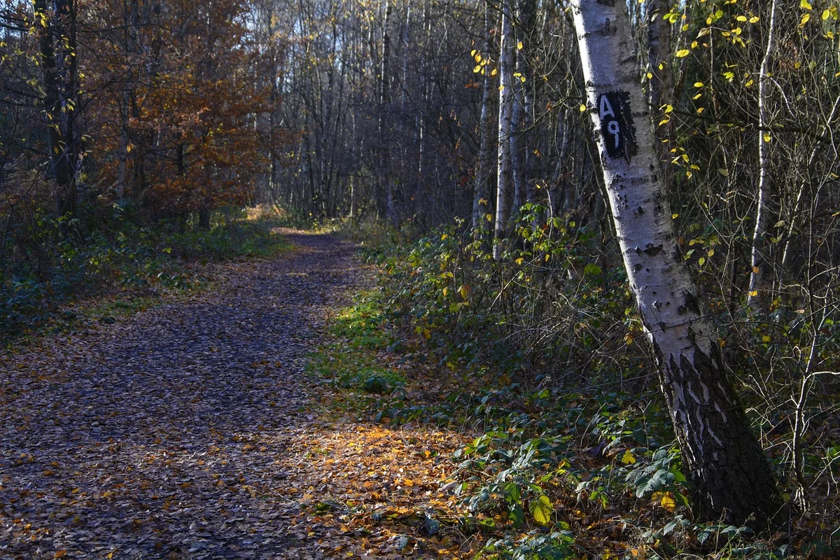 Le secret des affaires et la confidentialité : votre bouclier quotidien
