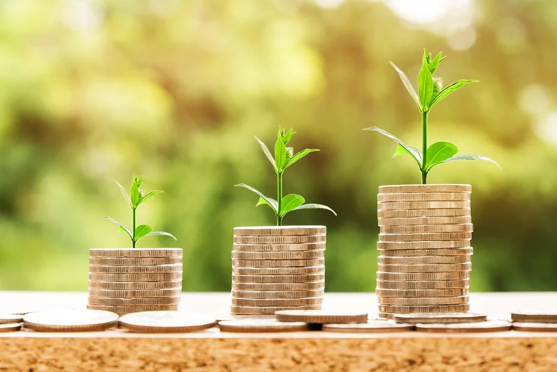 Erreur n°7 : oublier de se verser un salaire régulier